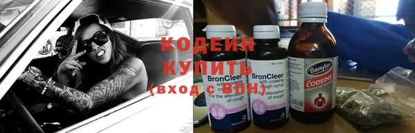 индика Абинск