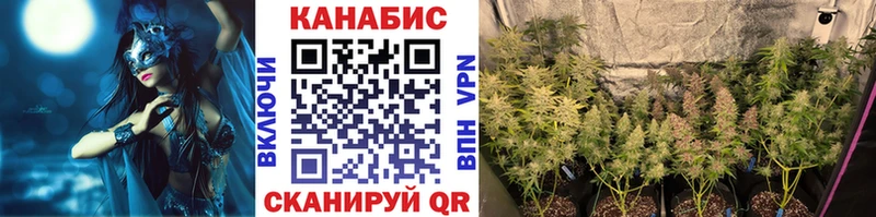 Бошки марихуана конопля  shop Telegram  Абакан  купить  сайты 